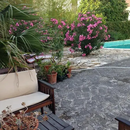 Appartamento In Villa, Private Pool, Big Garden, Close To Sea And Old Town Zara