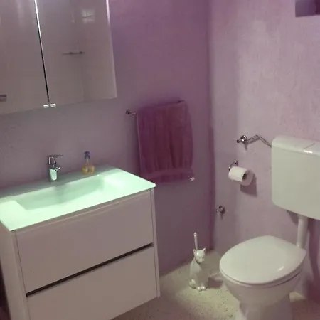 In Villa, Private Pool, Big Garden, Close To Sea And Old Town Apartment Zadar